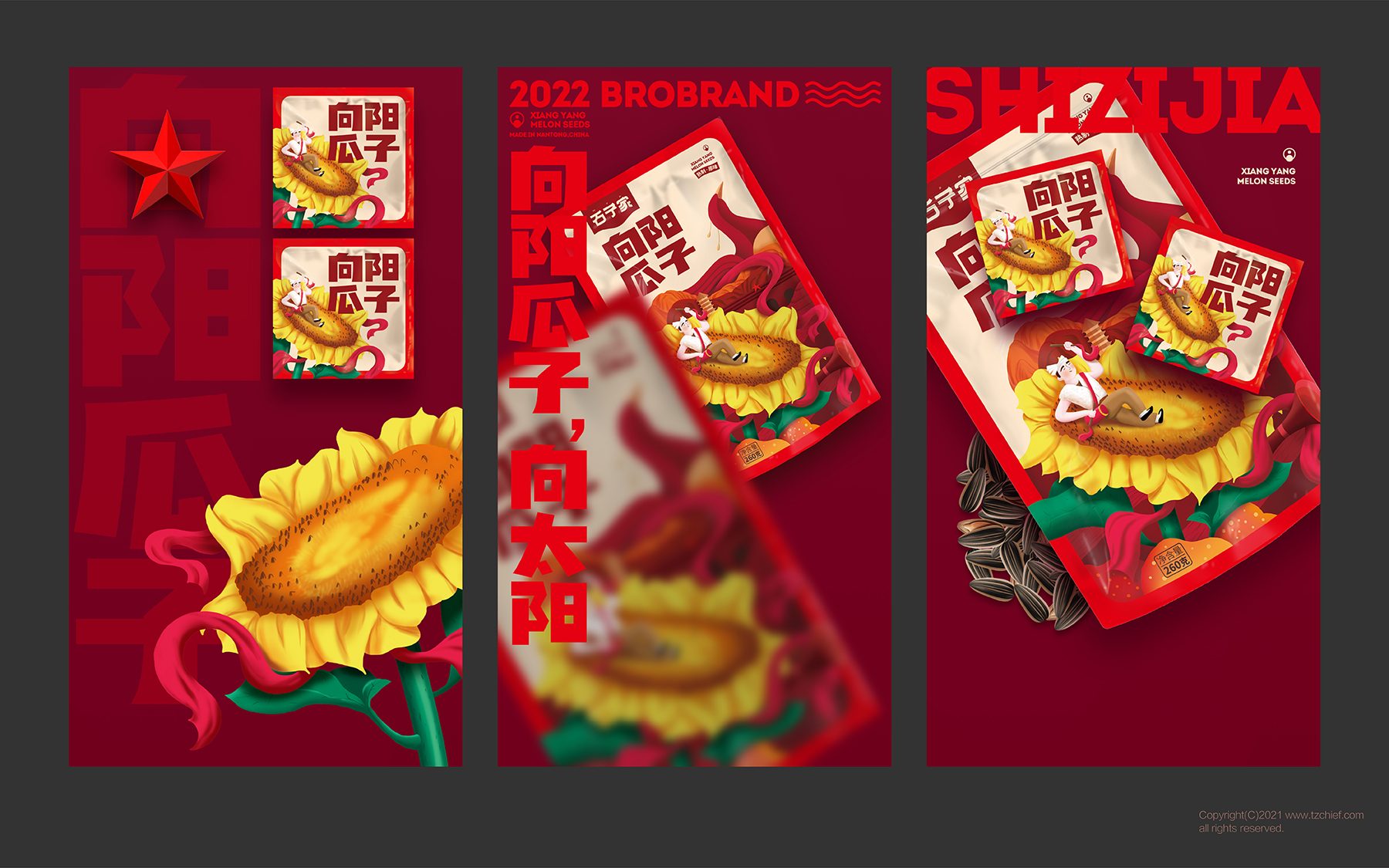 1658391512557027.jpg 瓜子-09.jpg