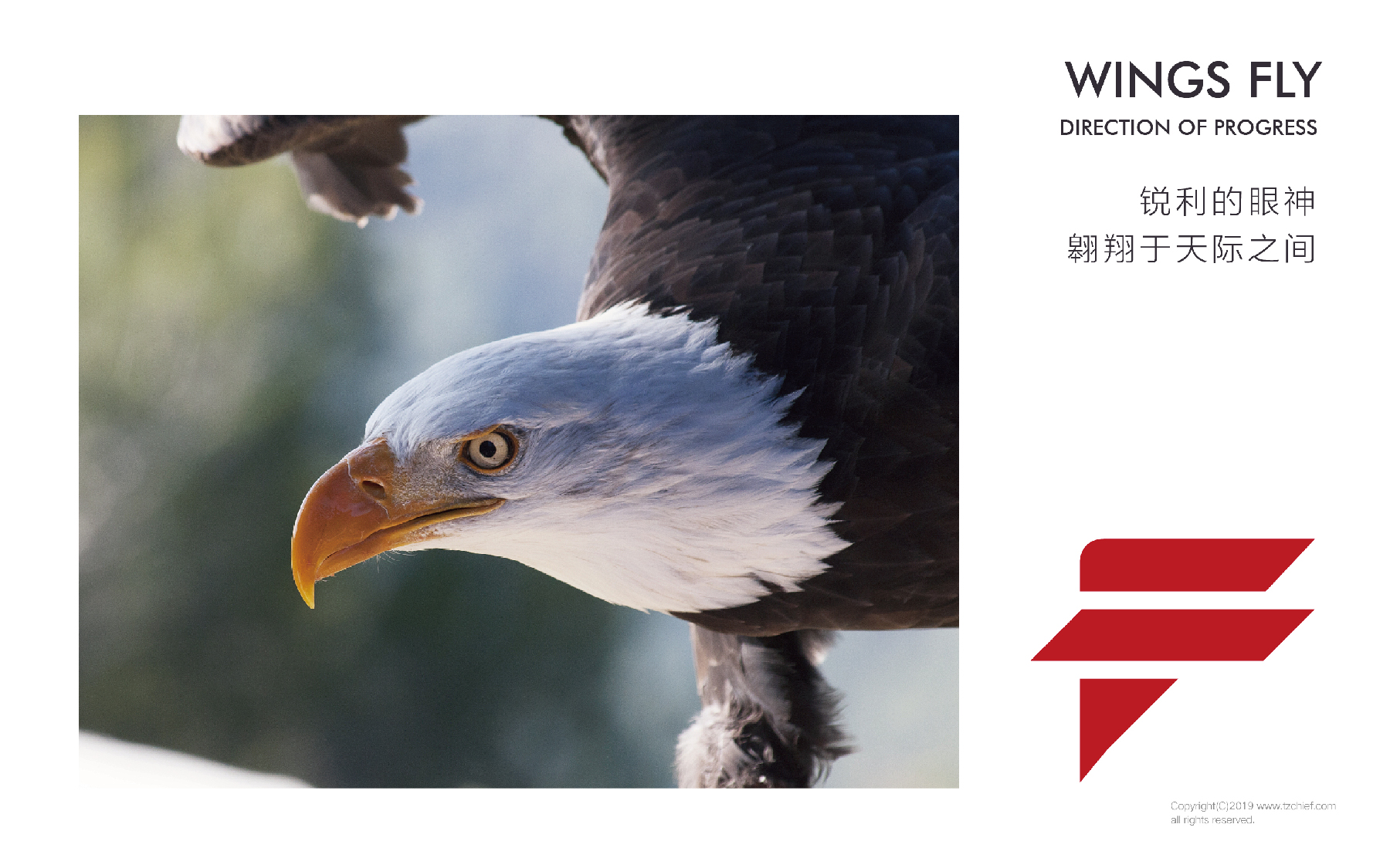 1658394156914869.jpg 20220616-豐立-03.jpg